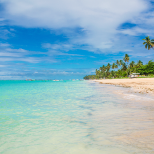 O que fazer em Alagoas?