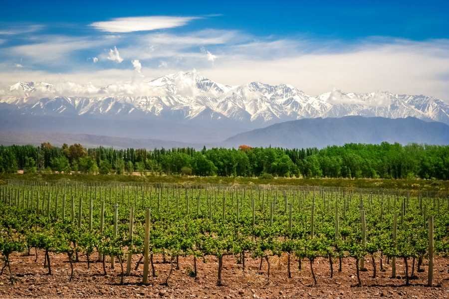 Mendoza, Argentina