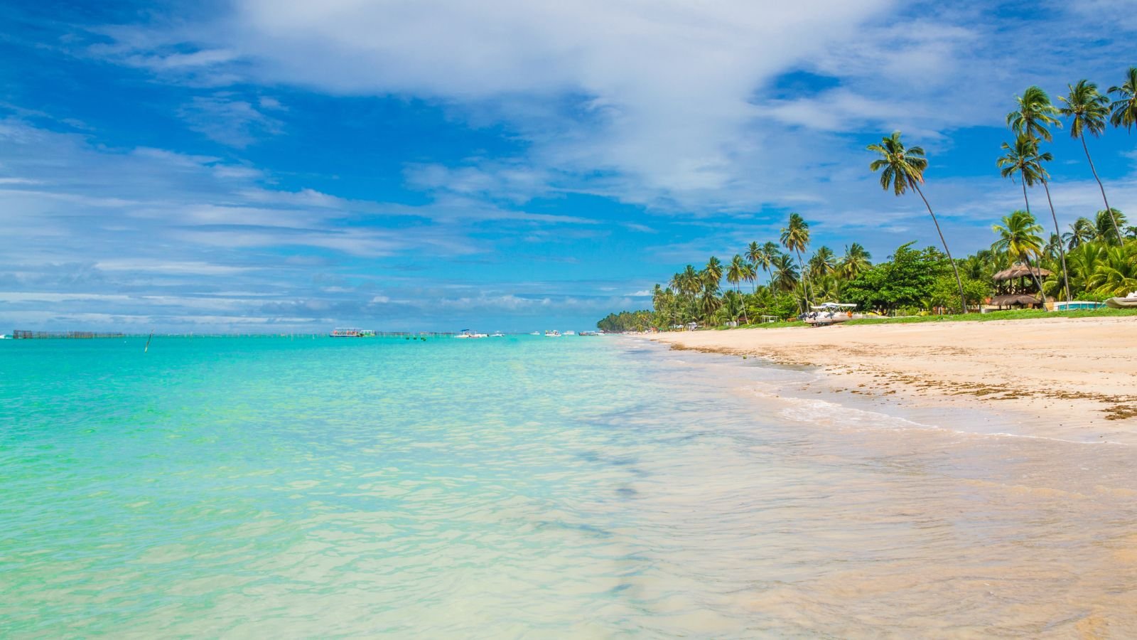 Maragogi, em Alagoas, é a melhor escolha para o signo de Boi, no Ano Novo Chinês. 